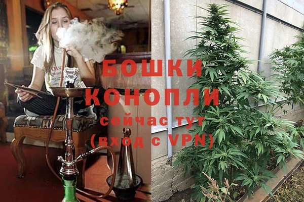 экстази Богданович