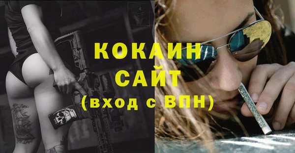 ALPHA PVP Богородицк