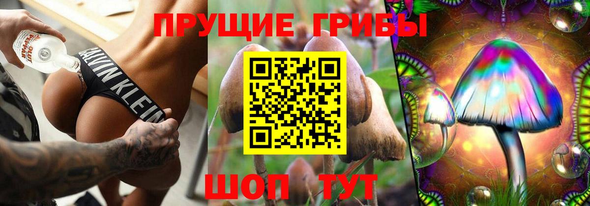 Видное  Псилоцибиновые грибы MAGIC MUSHROOMS  Вход с VPN  где купить наркоту  Галлюциногенные грибы мухоморы 